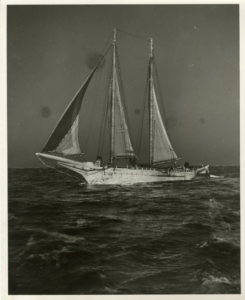 98-223 (click for large image)